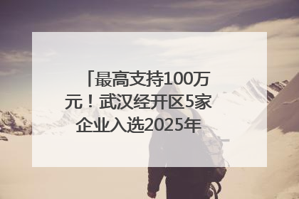 最高支持100万元！武汉经开区5家企业入选2025年度武汉市重点研发计划拟立项项目名单