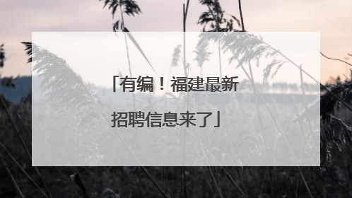 有编！福建最新招聘信息来了