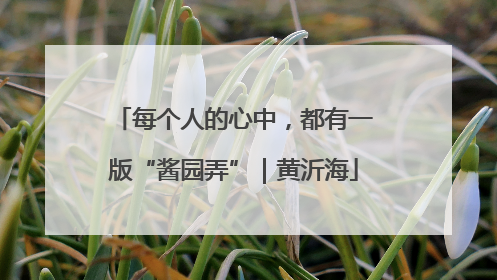每个人的心中，都有一版“酱园弄”｜黄沂海