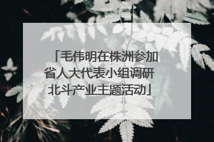 毛伟明在株洲参加省人大代表小组调研北斗产业主题活动