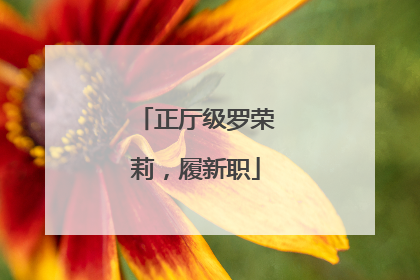 正厅级罗荣莉，履新职