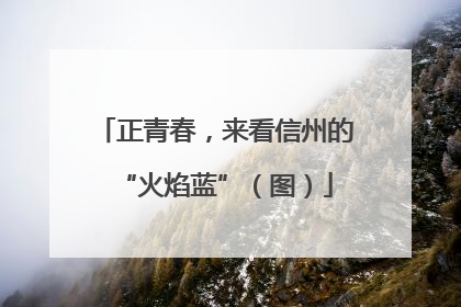 正青春，来看信州的“火焰蓝”（图）