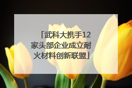 武科大携手12家头部企业成立耐火材料创新联盟