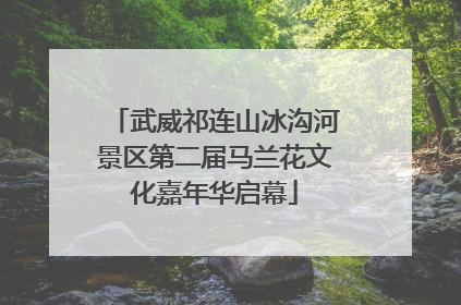 武威祁连山冰沟河景区第二届马兰花文化嘉年华启幕