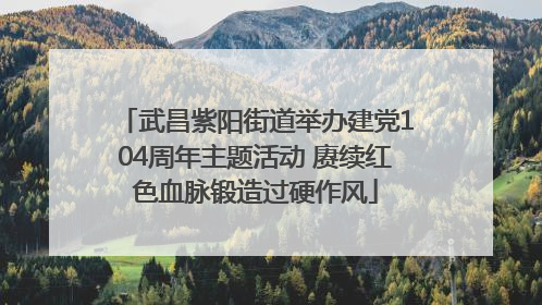 武昌紫阳街道举办建党104周年主题活动 赓续红色血脉锻造过硬作风