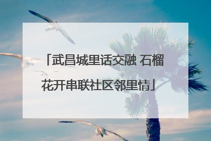 武昌城里话交融 石榴花开串联社区邻里情