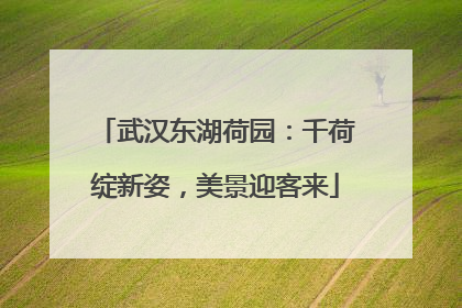 武汉东湖荷园：千荷绽新姿，美景迎客来