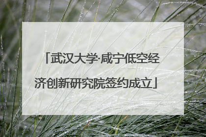 武汉大学·咸宁低空经济创新研究院签约成立