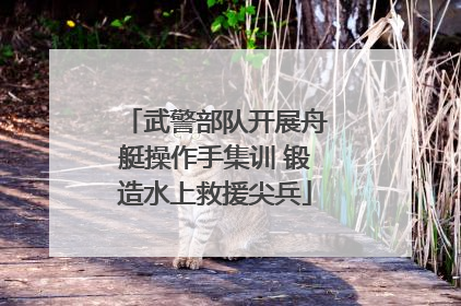 武警部队开展舟艇操作手集训 锻造水上救援尖兵
