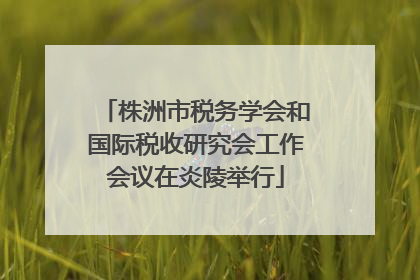 株洲市税务学会和国际税收研究会工作会议在炎陵举行