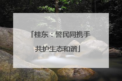 桂东：警民同携手 共护生态和谐
