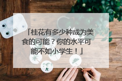 桂花有多少种成为美食的可能？你的水平可能不如小学生！