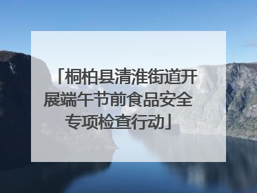 桐柏县清淮街道开展端午节前食品安全专项检查行动