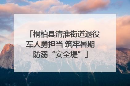 桐柏县清淮街道退役军人勇担当 筑牢暑期防溺“安全堤”