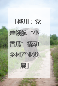 桦川：党建领航“小香瓜”撬动乡村产业发展