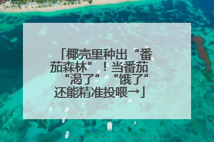 椰壳里种出“番茄森林”！当番茄“渴了”“饿了”还能精准投喂→