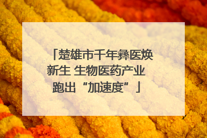 楚雄市千年彝医焕新生 生物医药产业跑出“加速度”