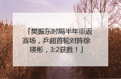樊振东时隔半年重返赛场，乒超首轮对阵徐瑛彬，3:2获胜！