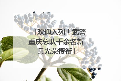 欢迎入列！武警重庆总队千余名新兵光荣授衔
