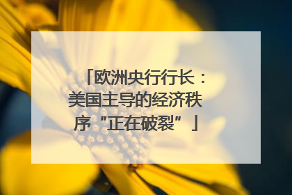 欧洲央行行长：美国主导的经济秩序“正在破裂”