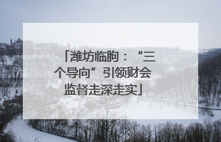 潍坊临朐：“三个导向”引领财会监督走深走实