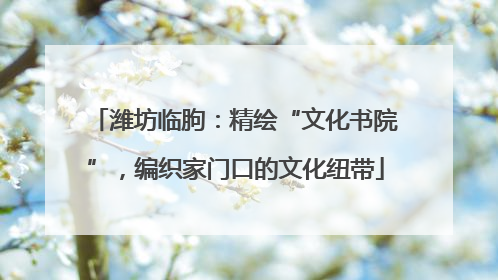 潍坊临朐：精绘“文化书院”，编织家门口的文化纽带