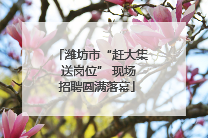 潍坊市“赶大集 送岗位” 现场招聘圆满落幕
