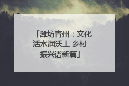 潍坊青州：文化活水润沃土 乡村振兴谱新篇