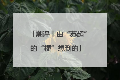 潮评丨由“苏超”的“梗”想到的
