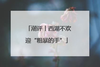 潮评丨西湖不欢迎“粗暴的手”