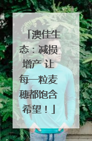 澳佳生态：减损增产 让每一粒麦穗都饱含希望！