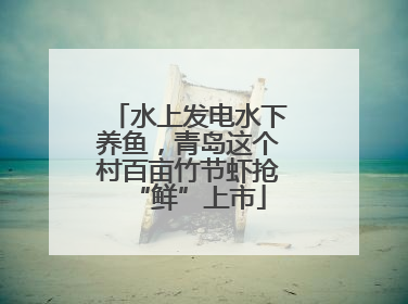 水上发电水下养鱼，青岛这个村百亩竹节虾抢“鲜”上市