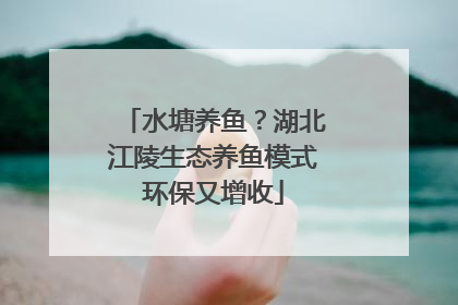 水塘养鱼？湖北江陵生态养鱼模式环保又增收