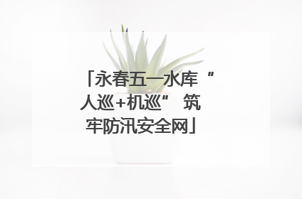 永春五一水库“人巡+机巡” 筑牢防汛安全网