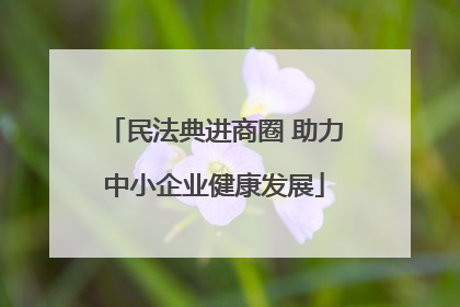 民法典进商圈 助力中小企业健康发展
