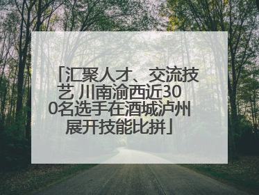 汇聚人才、交流技艺 川南渝西近300名选手在酒城泸州展开技能比拼
