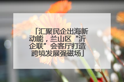 汇聚民企出海新动能，兰山区“沂企联”会客厅打造跨境发展强磁场