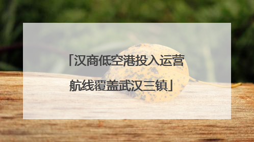 汉商低空港投入运营 航线覆盖武汉三镇