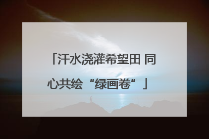 汗水浇灌希望田 同心共绘“绿画卷”
