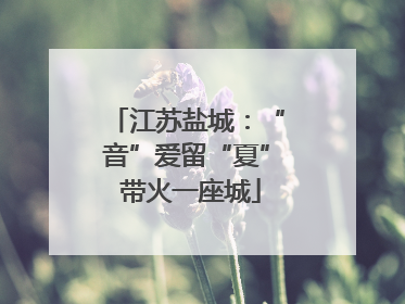 江苏盐城：“音”爱留“夏” 带火一座城