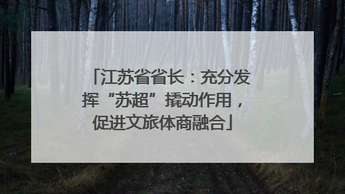 江苏省省长：充分发挥“苏超”撬动作用，促进文旅体商融合