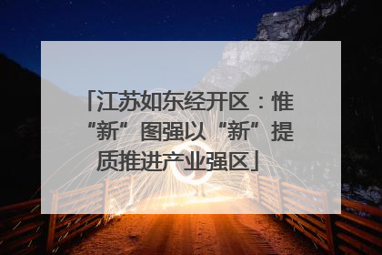 江苏如东经开区：惟“新”图强以“新”提质推进产业强区