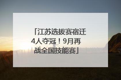 江苏选拔赛宿迁4人夺冠！9月再战全国技能赛