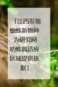 江西发现蜘蛛新物种 为研究呵叻蛛属适应区域提供依据