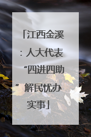 江西金溪：人大代表“四进四助”解民忧办实事
