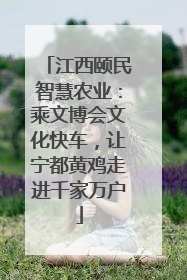 江西颐民智慧农业：乘文博会文化快车，让宁都黄鸡走进千家万户