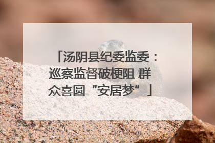 汤阴县纪委监委：巡察监督破梗阻 群众喜圆“安居梦”