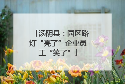 汤阴县：园区路灯“亮了”企业员工“笑了”