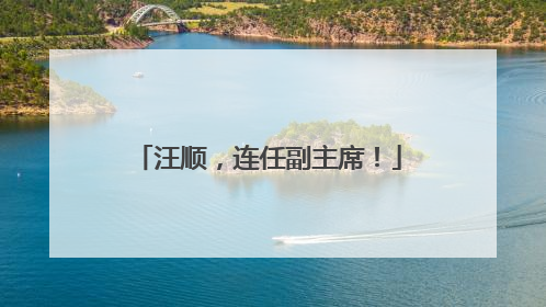 汪顺，连任副主席！