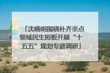 沈晓明围绕补齐重点领域民生短板开展“十五五”规划专题调研
